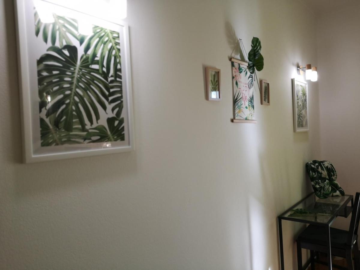 Nature Guesthouse Lagos Ngoại thất bức ảnh
